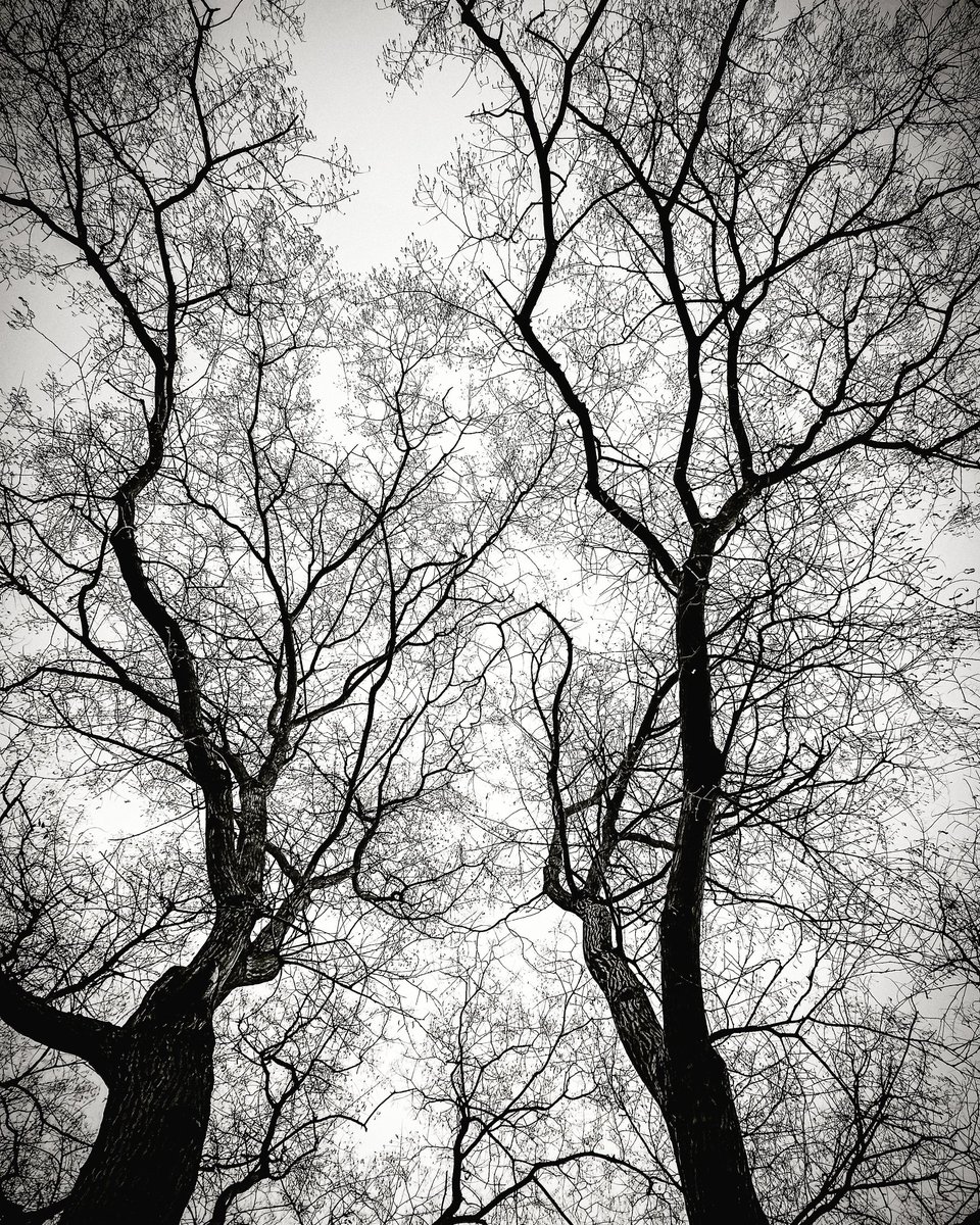 turgutemre23's tweet image. وَمَا تَوْف۪يق۪ٓي اِلَّا بِاللّٰهِۜ

"Başarım Ancak Allah'tandır."

(Hud 88)

#kadrajimdan #mobilçekim #note8pro #tefekkür