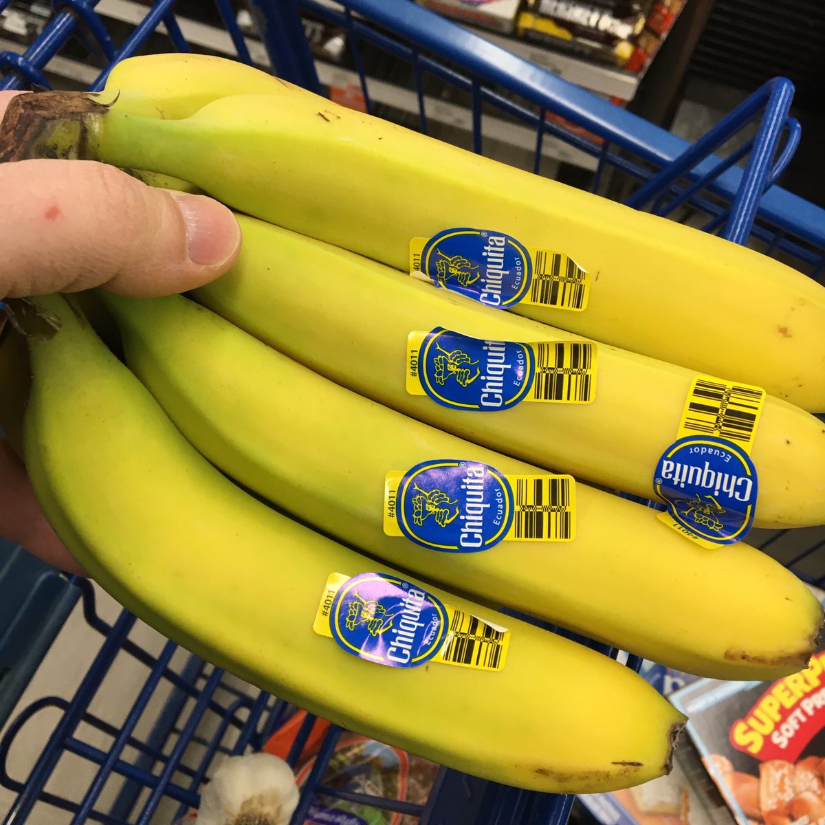 dailySTEM Chris Woods tweet media