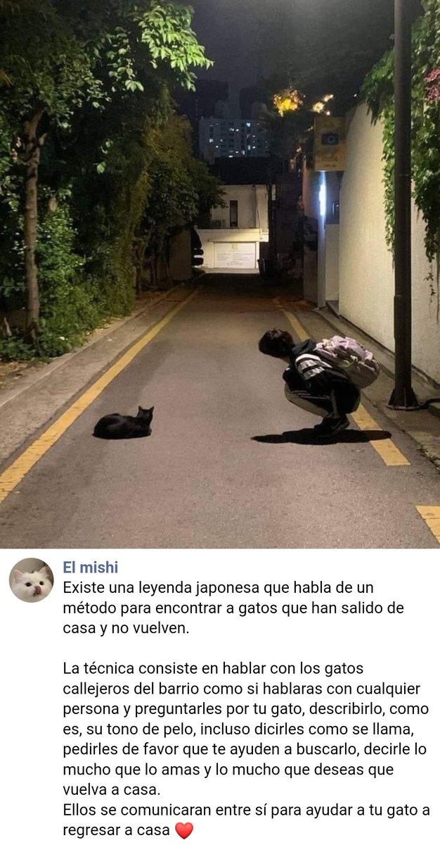 AliuchiChupChup's tweet photo. @smrfernanda Es un método de origen japonés y por lo visto es una práctica muy útil ❤️ https://t.co/aBFkmJ2qA0