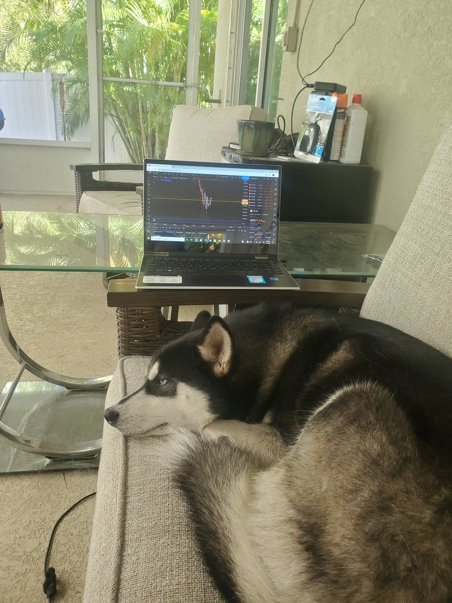 TheMavrikCrypto's tweet photo. My thoughts exactly #cryptoryder #BTC #Crypto #Bitcoin #wakeupbtc https://t.co/VRv2fwq6U7