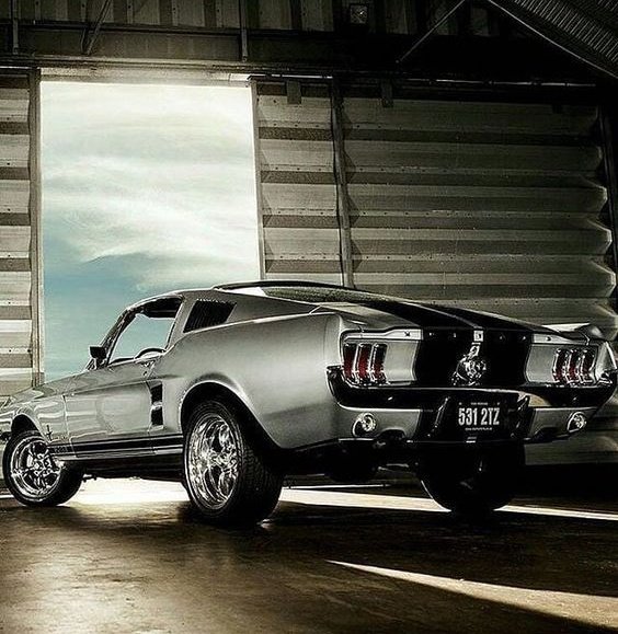 AlwaysElizabeth's tweet photo. #autoporn 🇺🇸 https://t.co/oj9I2Bc2Cc