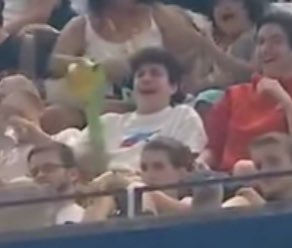 You all know what he is doing