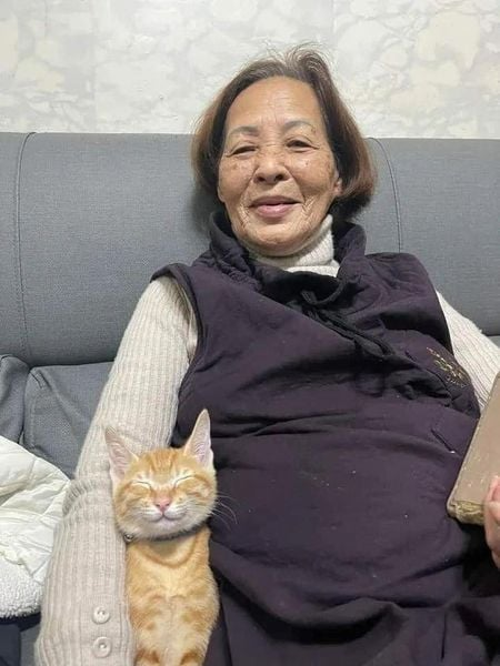 TranslatedCats's tweet photo. He and his grandmother. https://t.co/YDJBPrvAFu