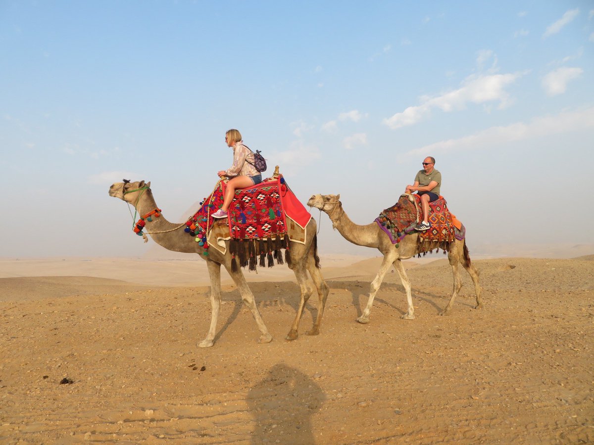 Wonders of the world and some camels 🐪 #giza #pyramids #egypt #camels #views