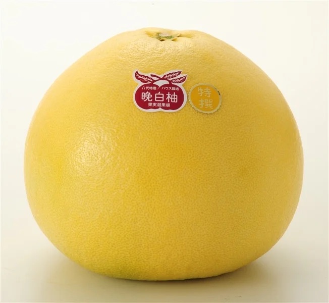 Jaタウン 公式 熊本県の 晩白柚 をご紹介 T Co 7baeo5bpj7 その大きさから 柑橘類の王様 と呼ばれる晩白柚 ばんぺいゆ は香りがとてもよく ふんわりと甘酸っぱい香りがします 皮が柔らかくなり食べ頃になるまで部屋で観賞したり