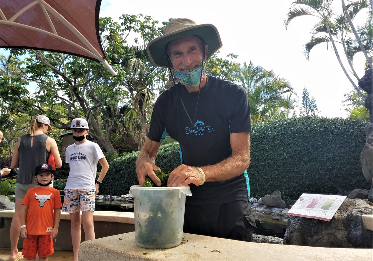 SeaLifePark's tweet photo. Looking to learn more about our marine ecosystems? Chat with one of our marine life experts to learn and discover how life under the sea works, and what we’re doing to make it a better place for our animals! https://t.co/wIOMWOwmOa