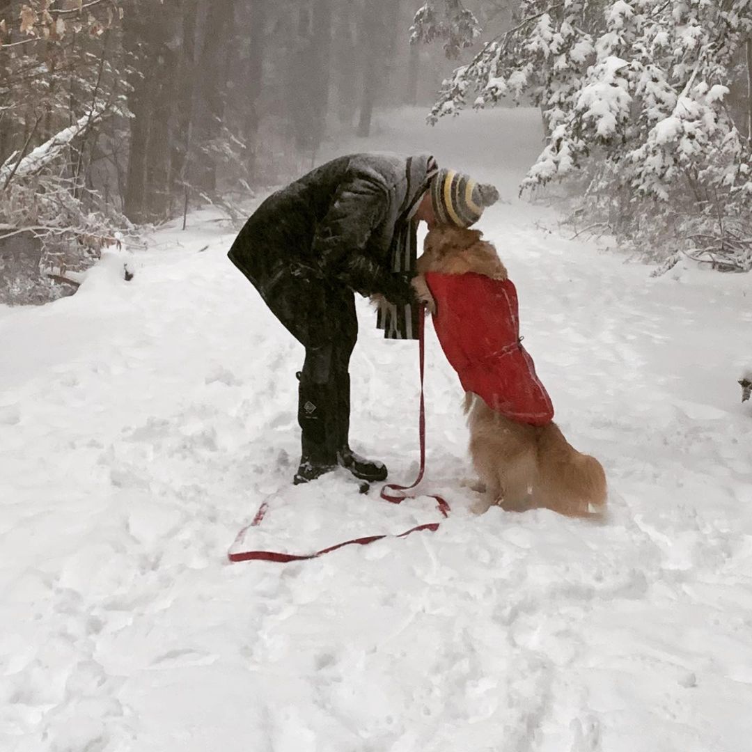 The boys have a brief head snuggle on a snowy walk.  Few better things to do on walkies.
Don't you agree?

(Hickleypark IG) #dogs #cutenessoverload #Snowfall