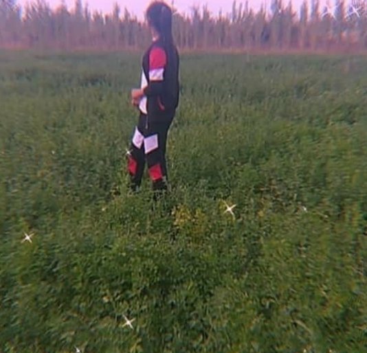 ajk0va (@ajkova_) on Twitter photo 