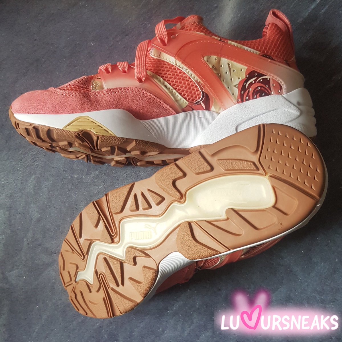 luvursneaks's tweet photo. Puma Blaze of Glory X Careaux (Porcelain Rose) : uk 5 / eu 38

Puma combined two of their features from the 90's on top of linking up with graphic designer Careaux known for her flower motif. Classic!

Link to buy in bio

#graphic #design #art #sneakerhead #Sneakers https://t.co/kNVRZawnZP