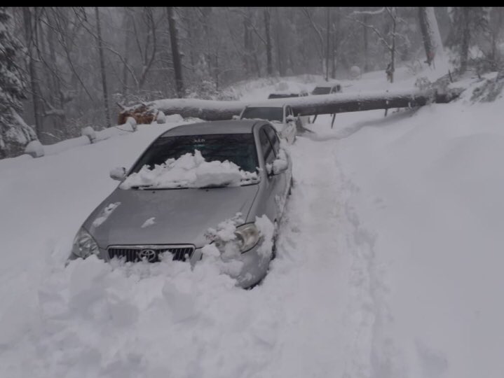 RamzanBaloch02's tweet photo. Heart Breaking to see people dying in Murree due to heavy snow Fall Several families lost their lives after getting stuck in roadblocks with overnight snowfall.
Ya Allah Reham 
#Murree https://t.co/nMllD9mtSh