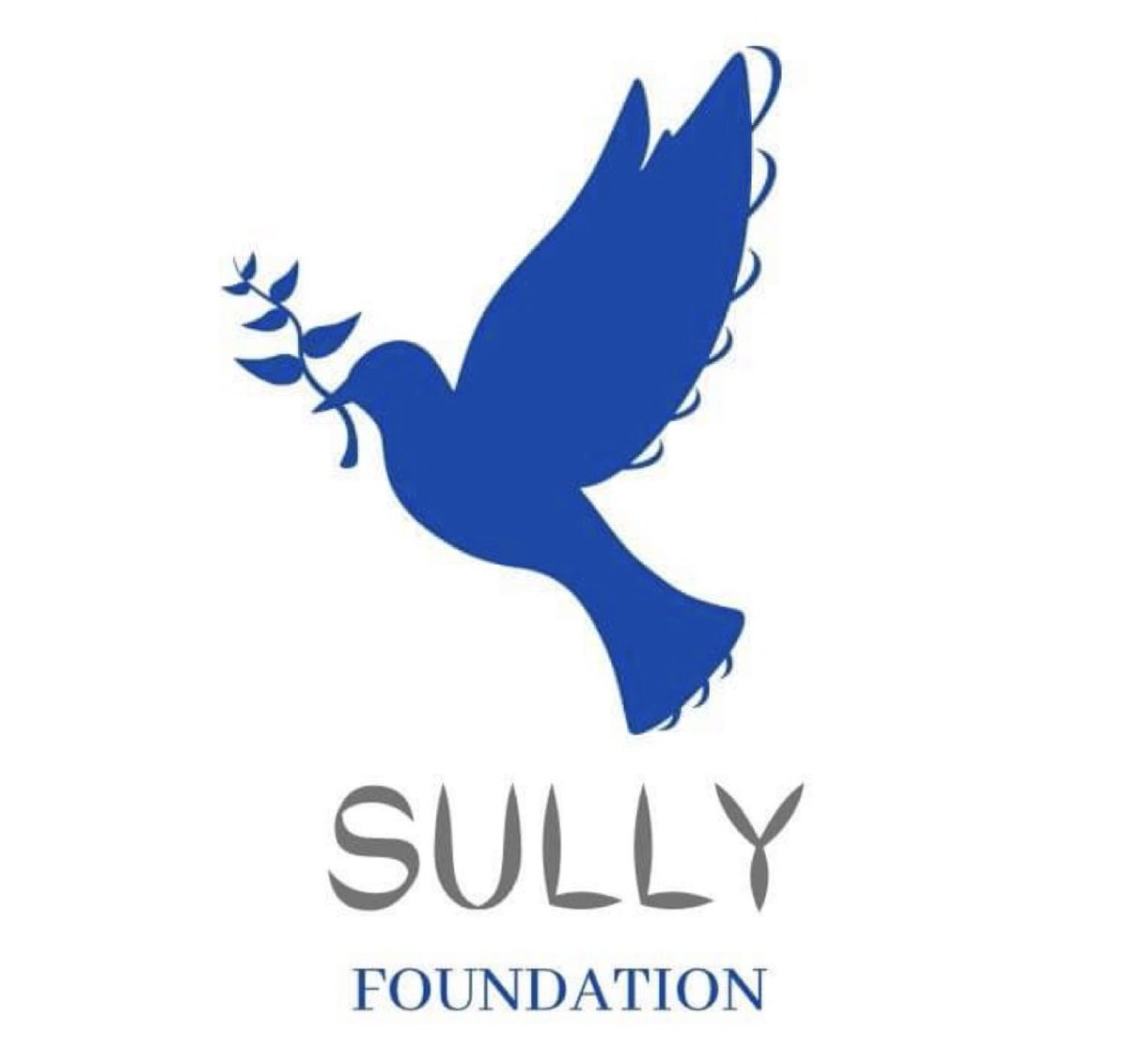 needynancy's tweet image. could my followers please take a moment to follow @sullyfoundation, a non-profit organisation, spreading awareness and promoting lifestyle change #beataddiction 💙