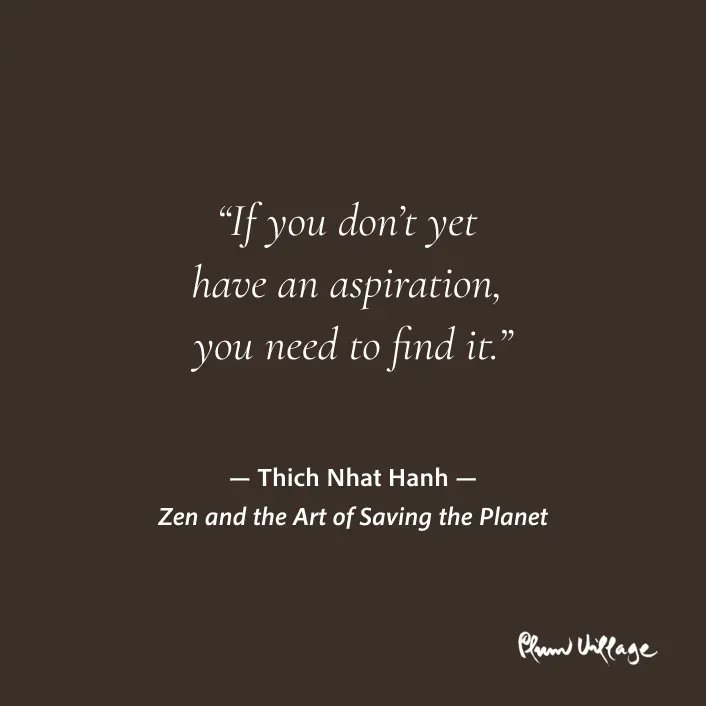 thichnhathanh's tweet image. "If you don’t yet have an aspiration, you need to find it. We should sit down with our partner, with our friends, and inquire about each other’s deepest dreams... We are here, alive, and we all want to do something with our life. We want our life to be useful, meaningful."