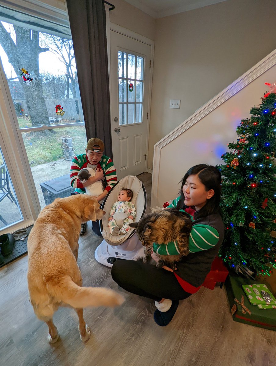 Jawminsky's tweet image. When taking the first and only family Christmas photo doesn&apos;t go quite as planned...
#caturday #christmas2021 #babyJ #bloopers