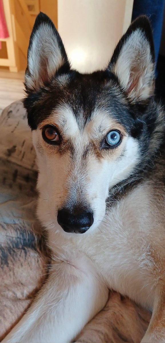 Aurora & mum 🌺 RIP Marta 💔 tweet media