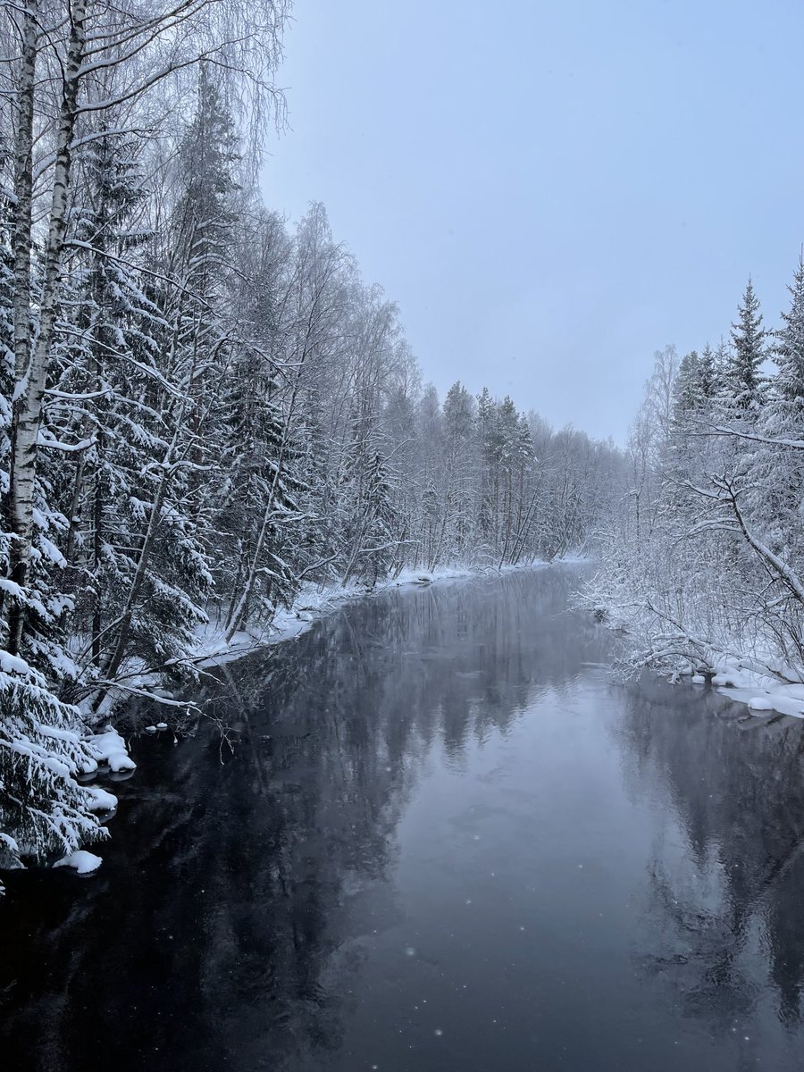 Pakkaspäivä Pihtiputaalla❄️