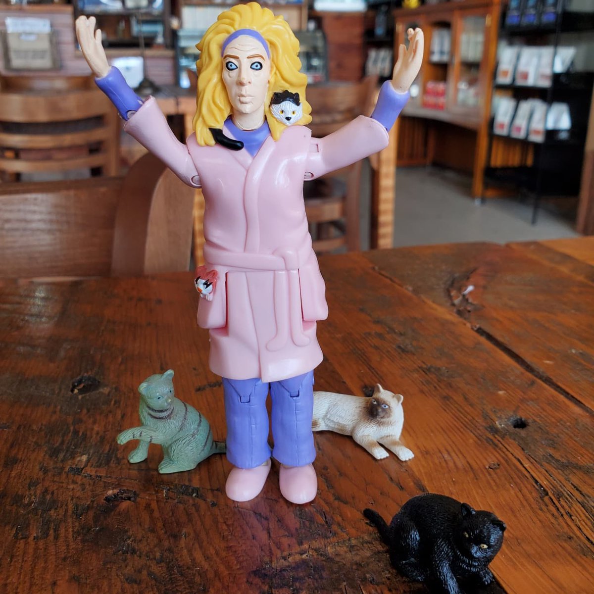 freaky_wizard's tweet photo. Help! The Cat Lady has lost three of her cats! They are hiding in the store, can you find them? Earn a chance to win free gaming for your family by sharing this post and fnding all three missing cats while visiting our store. 

#missingcats #catlady #catchallenge #prizes #Barrie https://t.co/PAiorw1el6