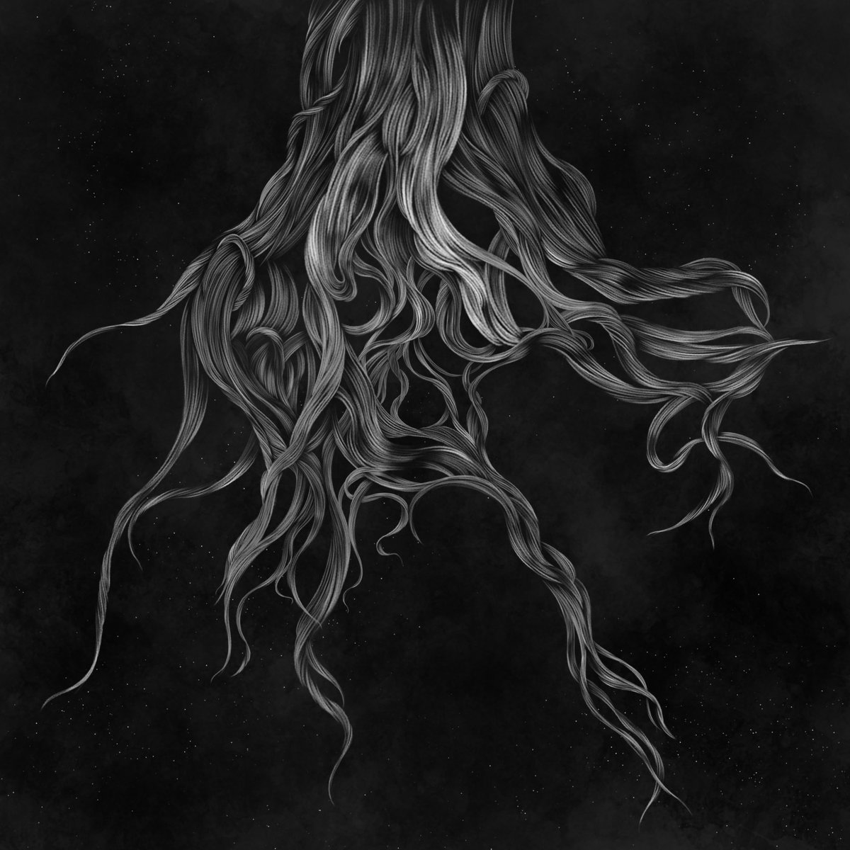 alice tweet media