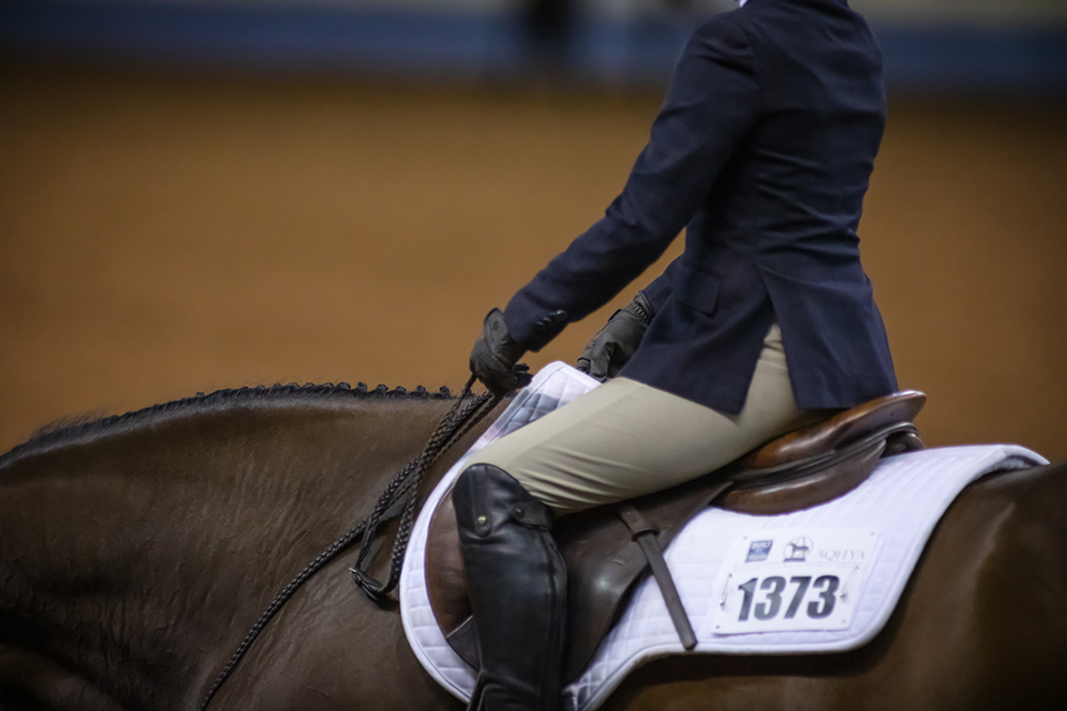AQHA's tweet photo. Success in #hunterundersaddle begins with presentation.

Read tips from #AQHA Professional Horsewoman Casi Vician on how to make a great first impression ➡️ https://t.co/DHzaCvCqqu https://t.co/2hId40JpKJ