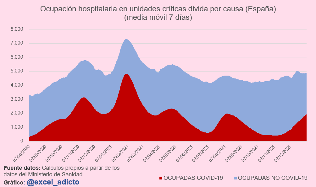 Cuanto cuesta un atún entero en españa