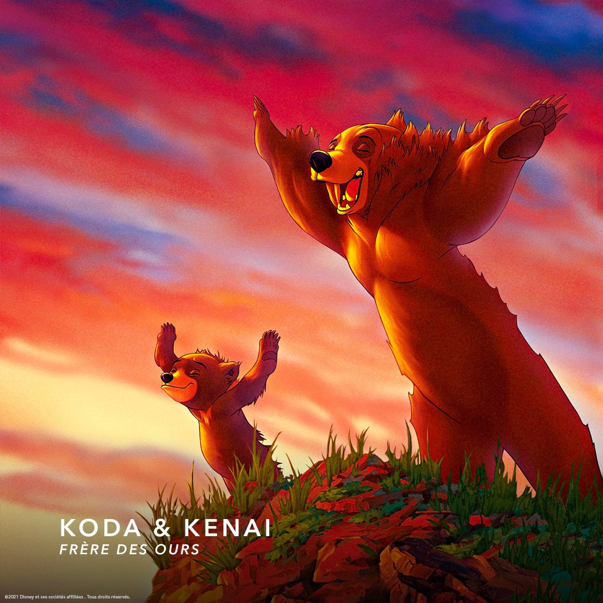Disney+ FR tweet media