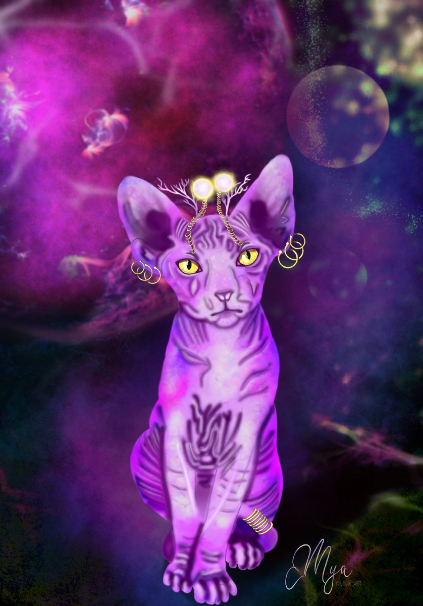 📢Available
A cat can still be tamed💜
Cosmo cat via @signArtApp -  sign-art.tiny.us/2p8bkds8 #Cat #space #cosmos #animals #NFT #SignArt