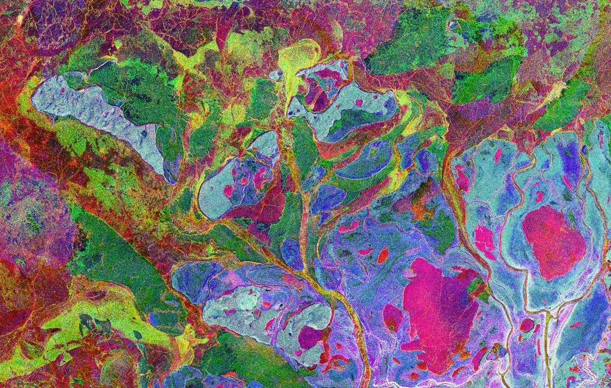 #Sentinel1 composite image tells the story of spring season dynamics in the Mackenzie river delta

🧊❄️💦🇨🇦🛰️🗺️

Reminds me of rock thin sections observerved through a polarized light microscope 

Explore &amp; comment <a href="/Soar_Earth/">Soar</a> 
bit.ly/mackenzie_delta

#SARisBeautiful #Canada