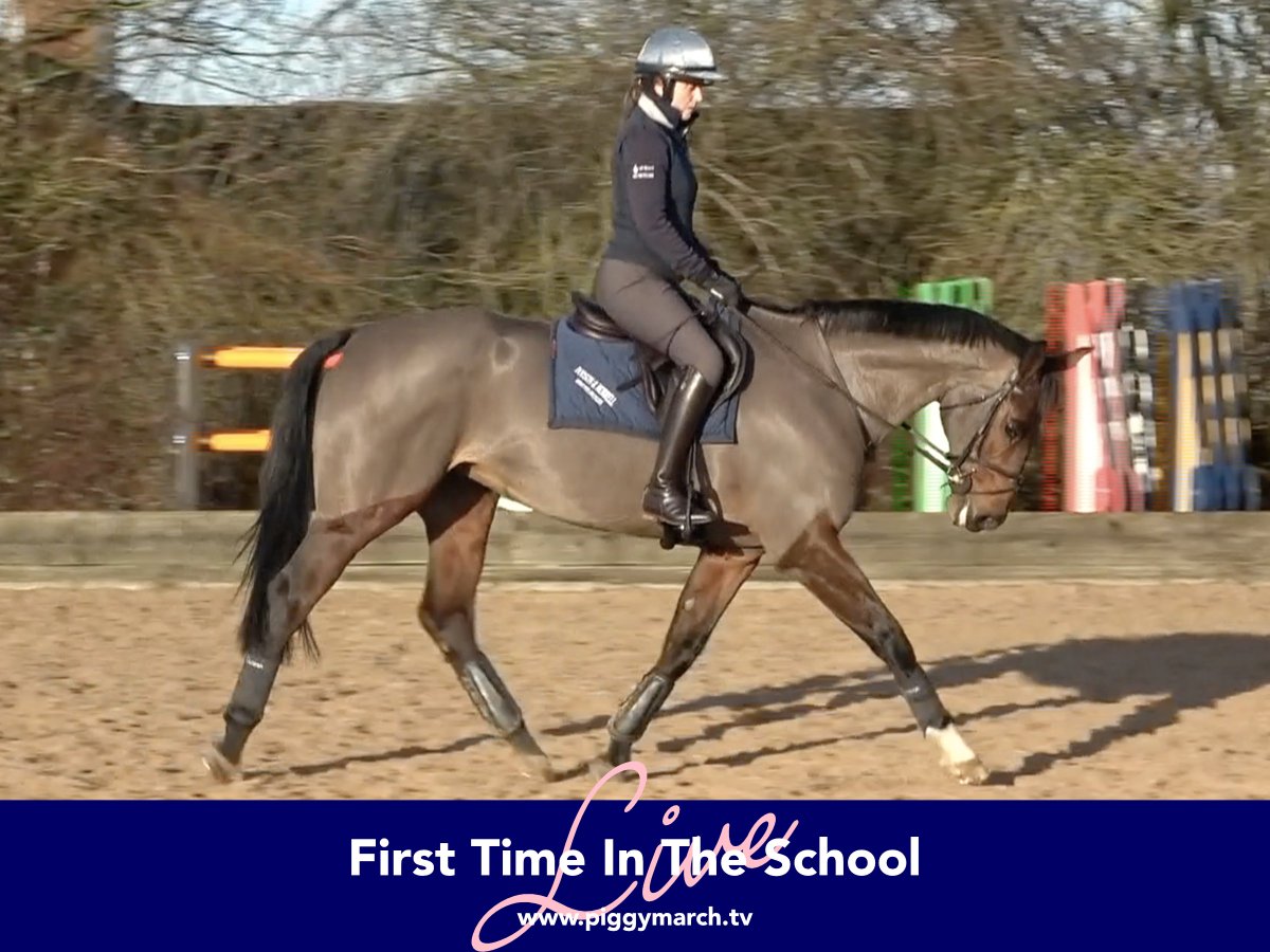 I hope this video is interesting and inspiring, not because it's impressive, but because it's very normal and relatable for a lot of people!😅

As you can see, Tilly and I both have lots to work on so the hard work starts now!💪

🌟➡️piggymarch.tv⬅️🌟

#TrainWithPiggy