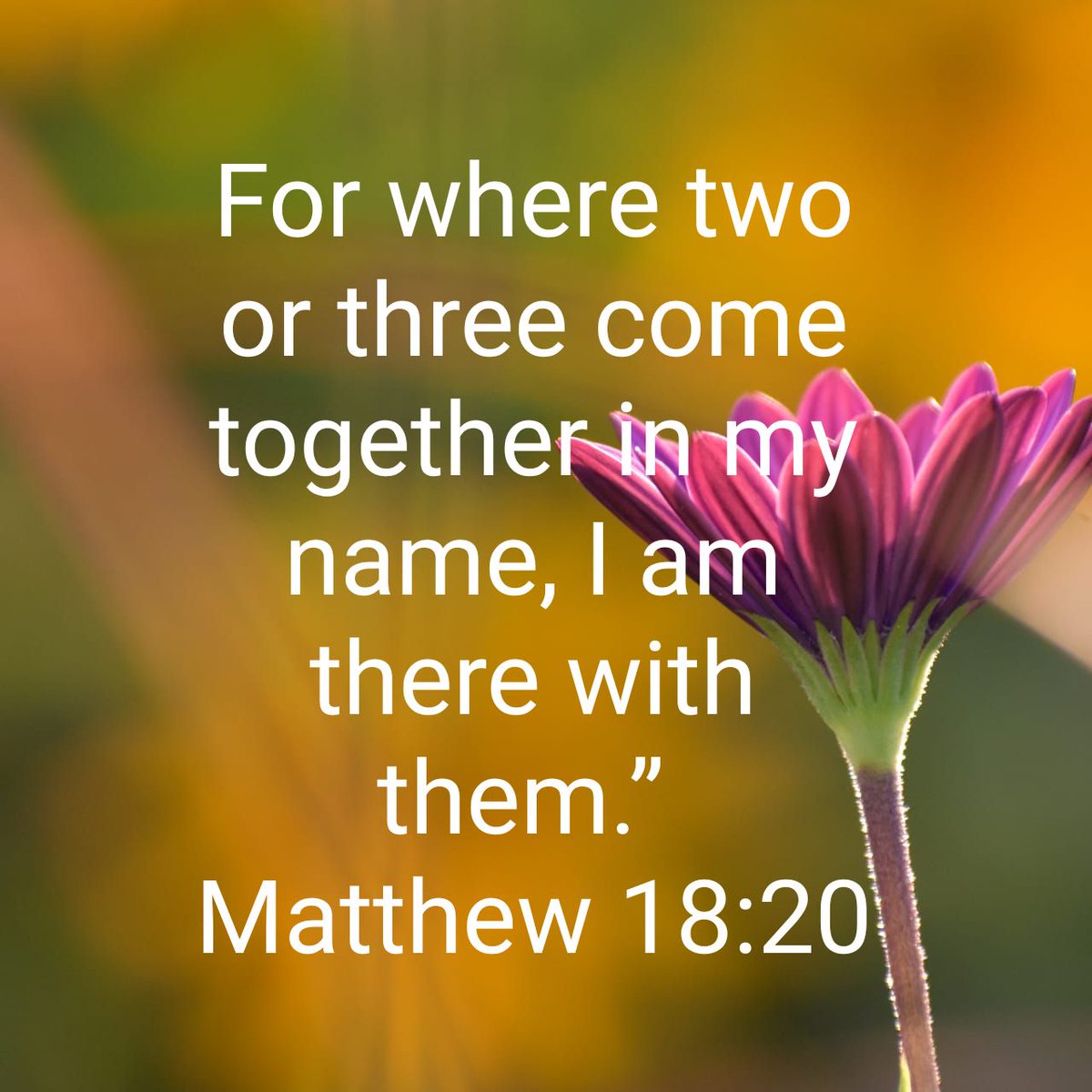 LetUsPray9's tweet photo. For where two or three come together in my name, I am there with them.”
Matthew 18:20 GNBUK

https://t.co/VBVA4hLeXR https://t.co/ICbznBaktM