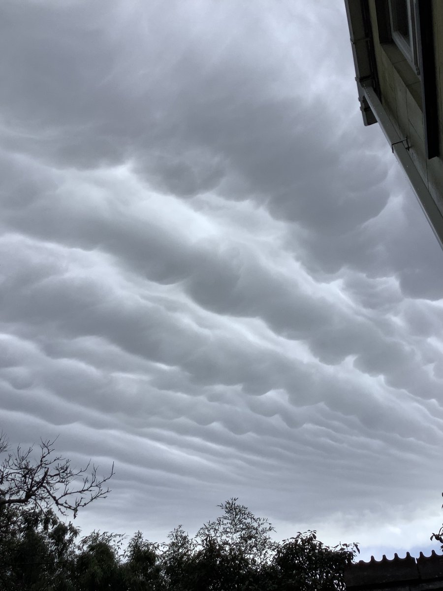 weather teenager tweet media