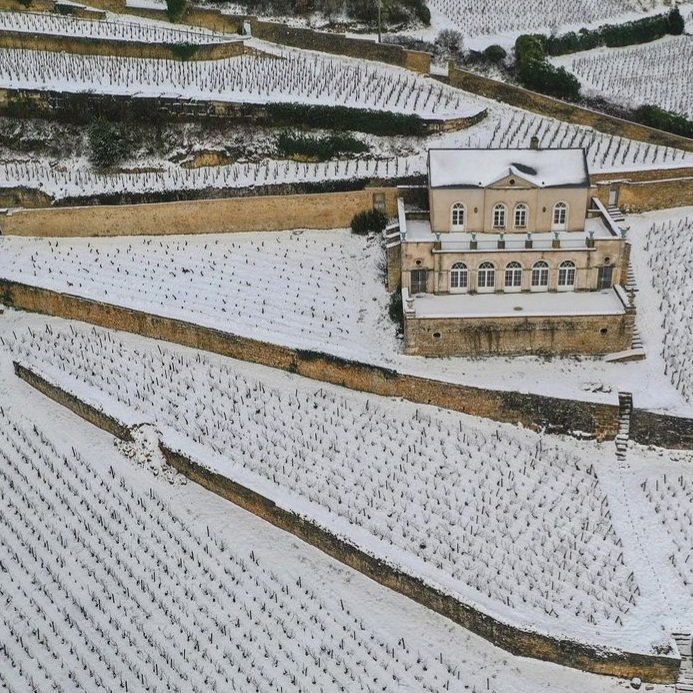 Gevrey Nuits Tourisme (@gevreynuits) on Twitter photo Résolution n°1 :
Prendre le temps d'observer les merveilles autour de nous!
Ici, le Château Gris du domaine Albert Bichot. 😍
Merci <a href="/baptiste_mo/">Mo Baptiste</a> pour cette belle photo!
#2022NewYear #2022Goals #cotedor #bourgogne #WINTER Résolution n°1 :
Prendre le temps d'observer les merveilles autour de nous!
Ici, le Château Gris du domaine Albert Bichot. 😍
Merci <a href="/baptiste_mo/">Mo Baptiste</a> pour cette belle photo!
#2022NewYear #2022Goals #cotedor #bourgogne #WINTER