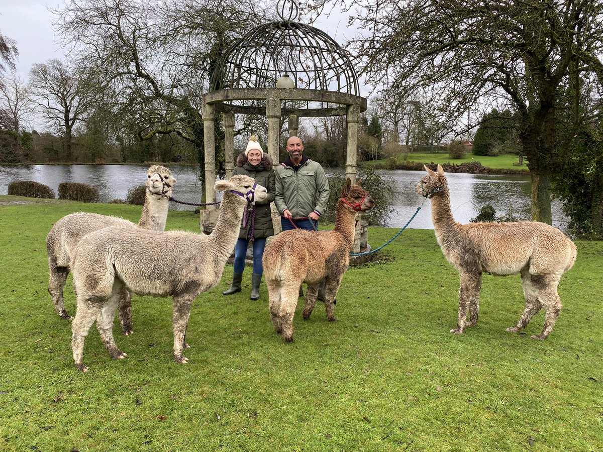 What an amazing experience today #littleeastonmanor #alpacatrekking #alpaca. Loved every second. Thank you Dennis &amp; Isabelle for a unique experience. We will be back !