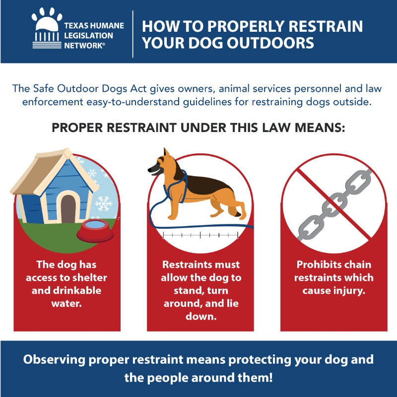 THLNTX's tweet photo. The #SafeOutdoorDogs Act goes into effect starting January 18! 📆 This law establishes a common-sense, balanced policy that defines adequate care and shelter for dogs kept outdoors and allows law enforcement to act and protect dogs that are reported in critical situations.