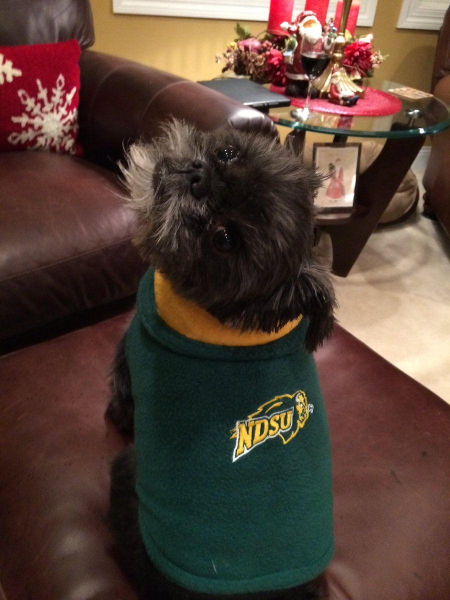 bisonagr's tweet photo. Go Bison! #FCSChampionship #NDSUBison #NDSU https://t.co/GfsLMX8uY6