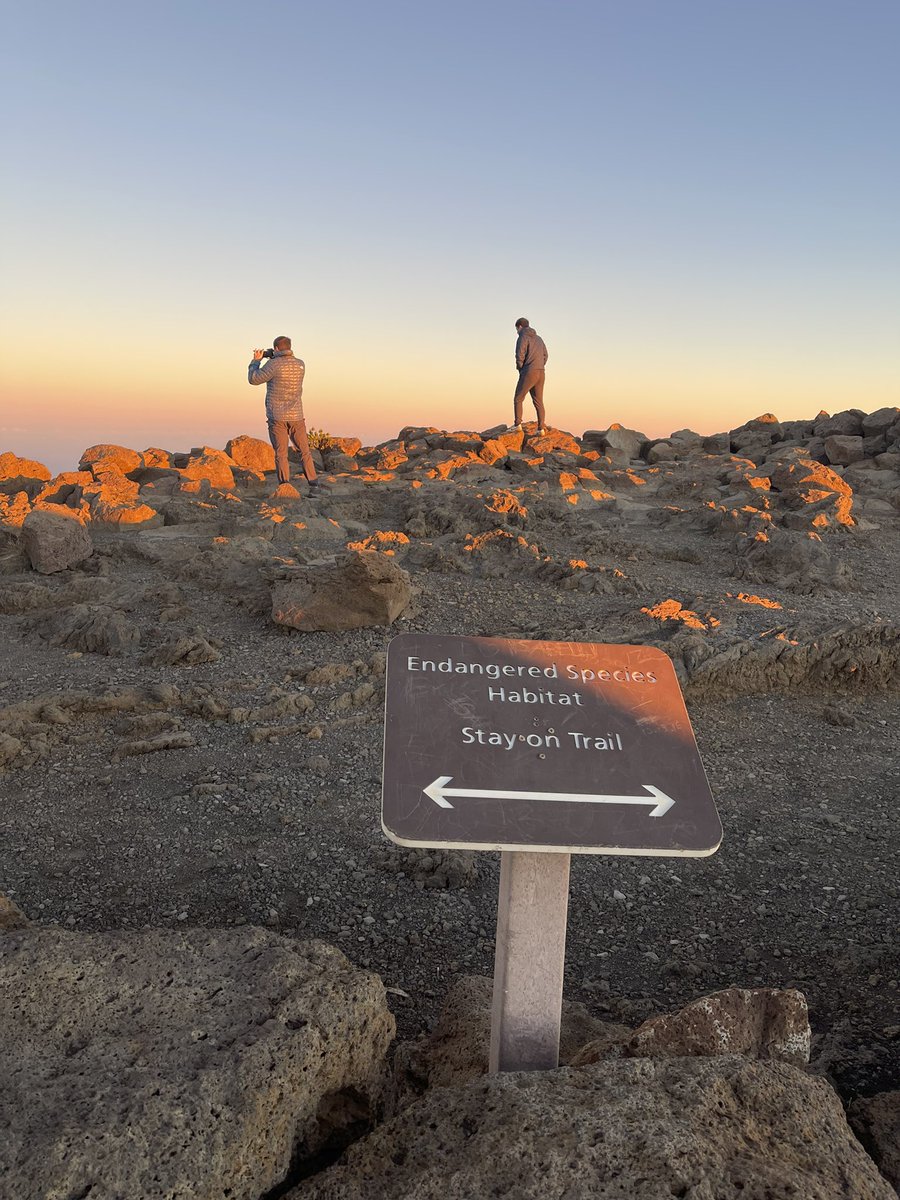 𝓙𝓸𝓻𝓭𝓪𝓷 🌺 tweet media