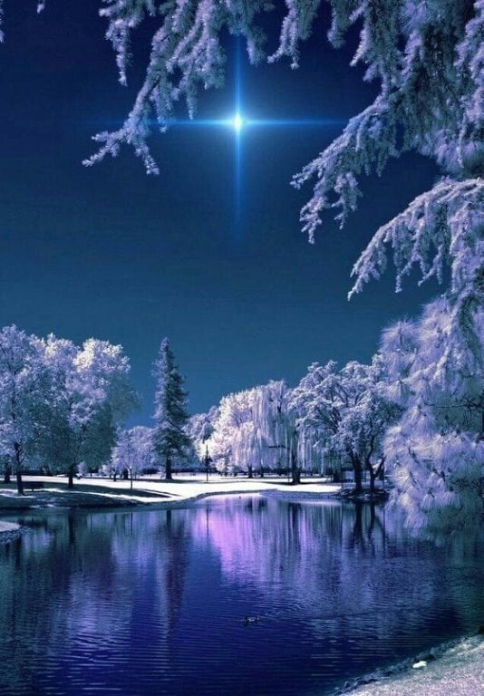 galalaka's tweet image. Рождественского спокойного вечера и ночи!!