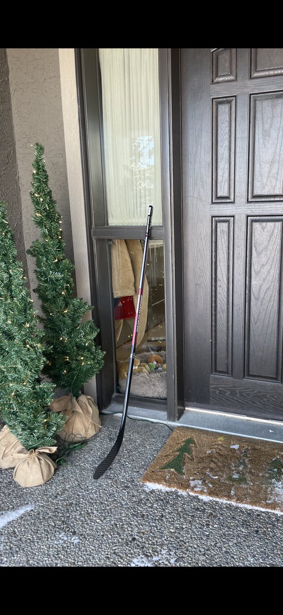 Sticks out for Teddy 🙏🏼