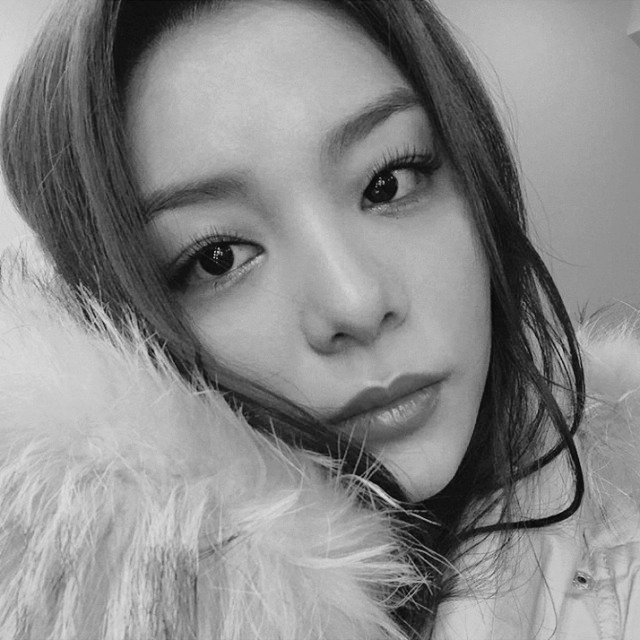 flowerggsquad's tweet photo. ⠀⠀⠀⠀❀⠀icons dos adms: https://t.co/54NkLwIsuc