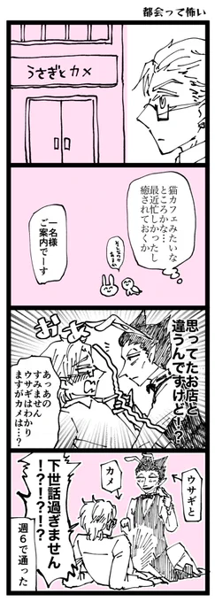 健全なお店(金バニ) 