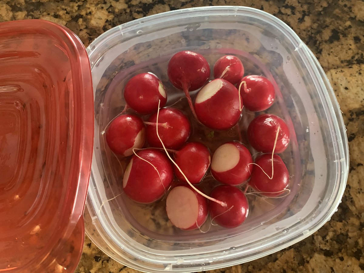 Whatcha gonna munch on today? I take time once or twice a week to fully prep some raw veggies. It’s easy to get a serving or two if they’re right at my fingertips throughout the day. This week I’ve got easy homemade bean dip in the fridge for dipping. Adds protein and fiber.