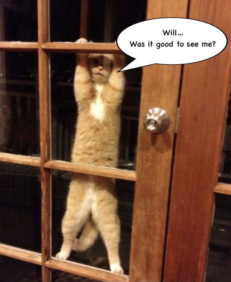 FImUw88XsAYNkDr?format=jpg&name=900x900