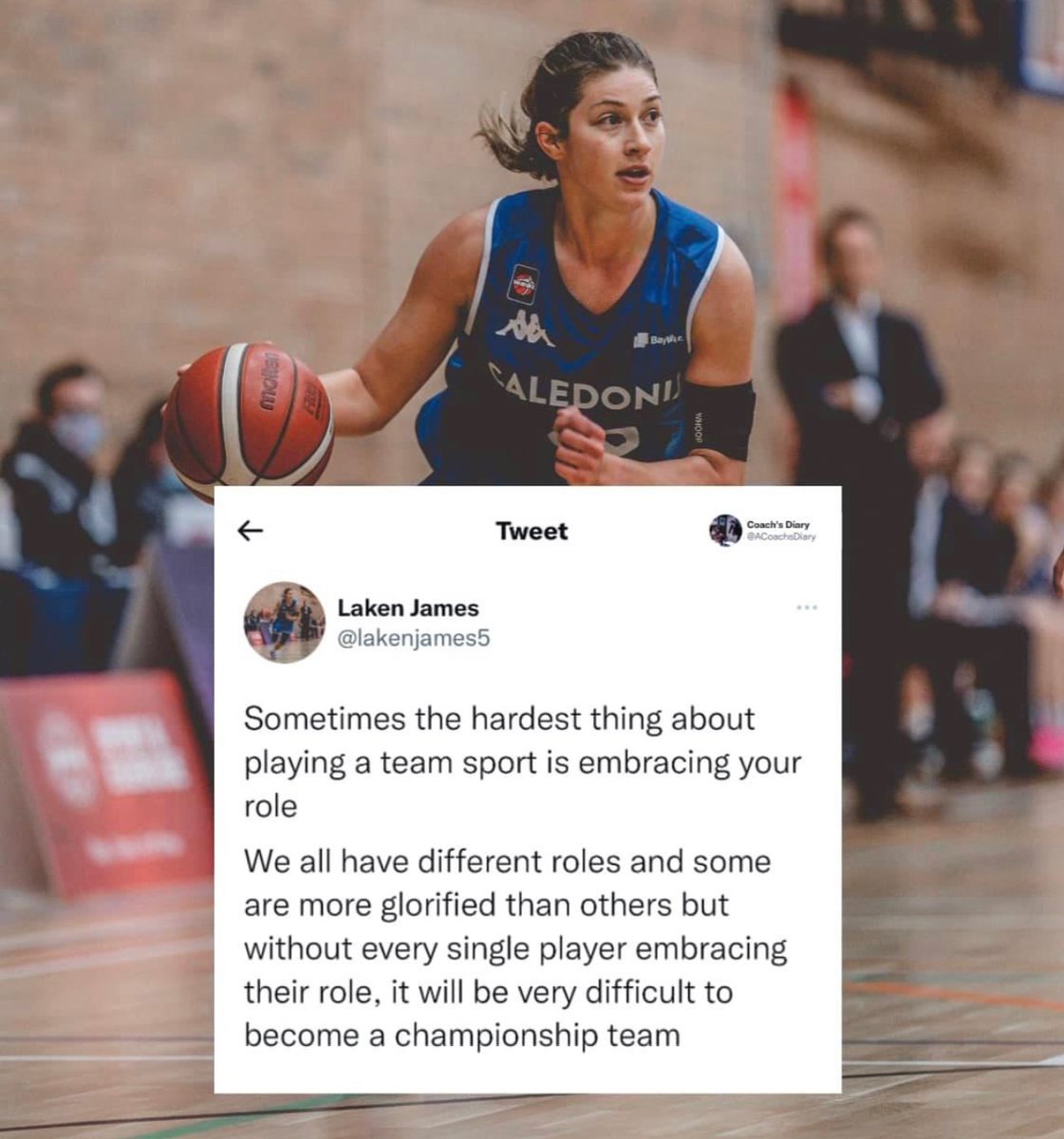 UTTylerWBB's tweet photo. 🚨🚨🚨 https://t.co/54aqxUtHFN