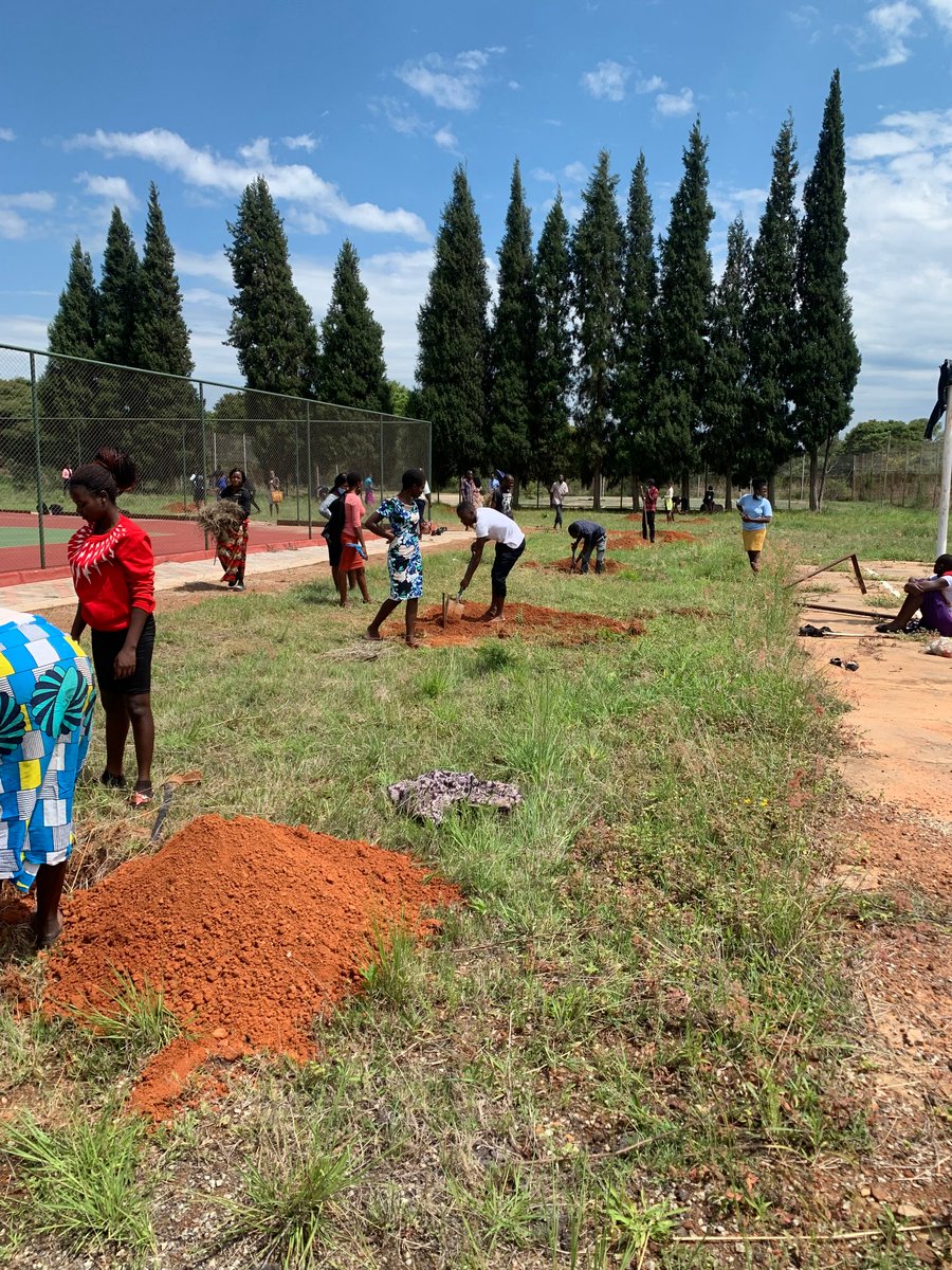 CollegeMkoba's tweet photo. Secondary Science  intake engages in tree planting.
#TogetherWeCan https://t.co/QFP6i0kQt0