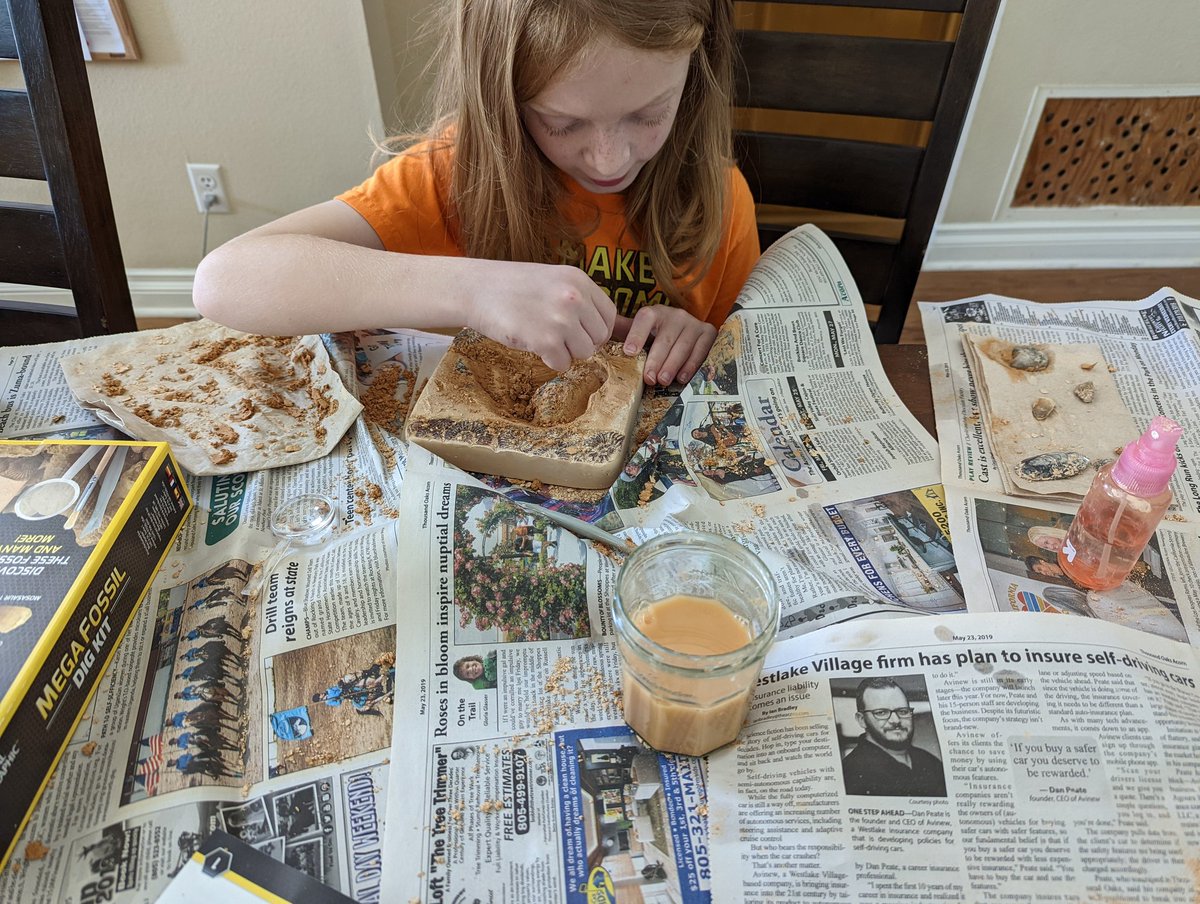 Mirdear1's tweet photo. Fossil digging is so messy but fun. https://t.co/JXBkWX6eTR