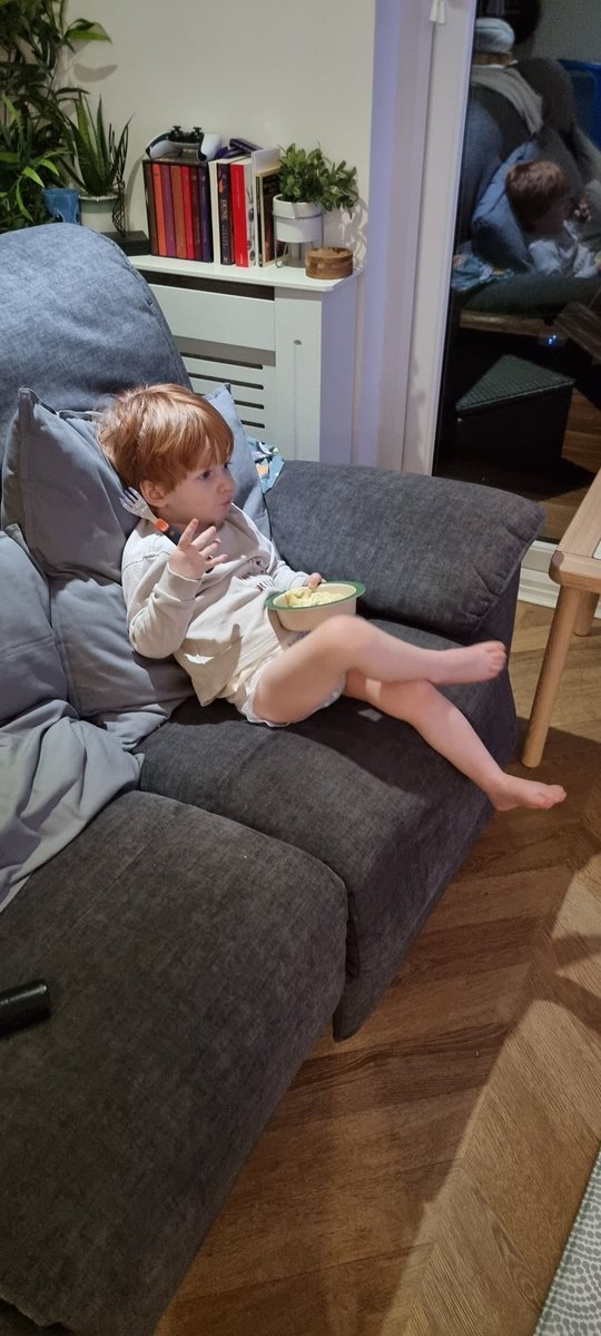 TigerrCub's tweet image. Mood.