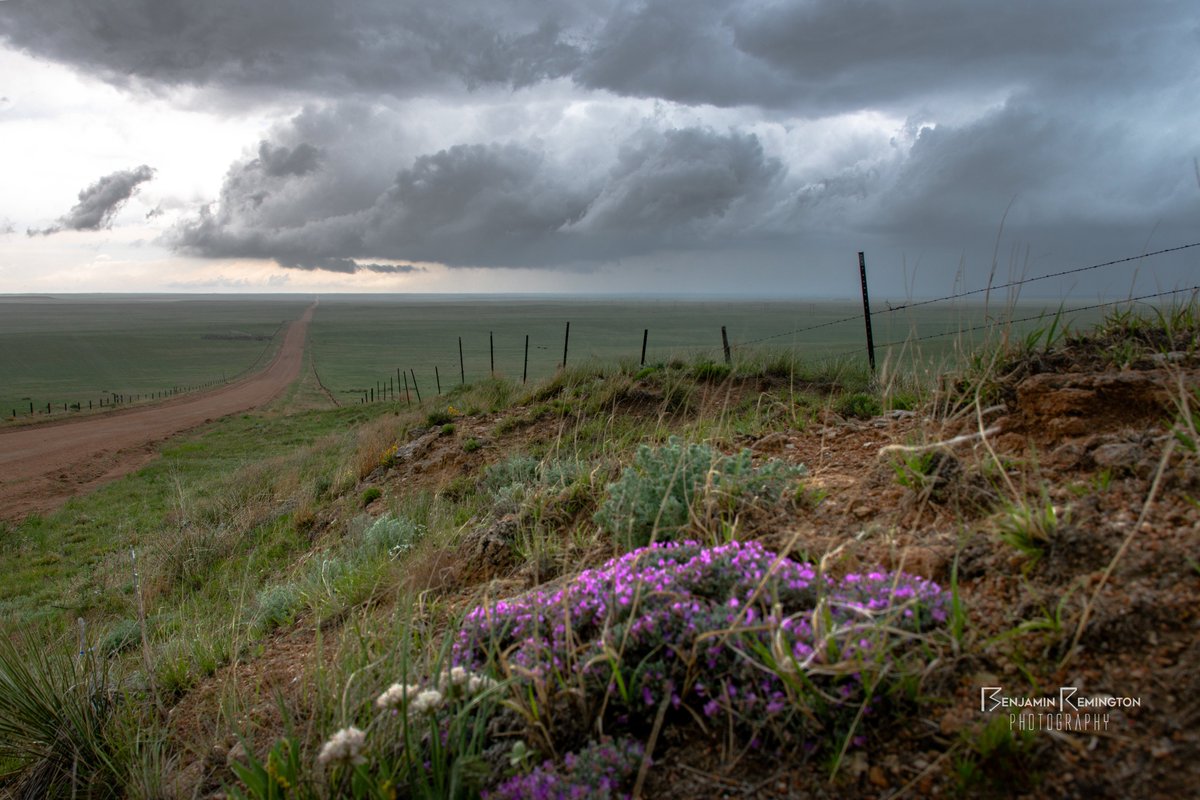 WxUnrated's tweet photo. Have you ever wanted to buy prints of any photos you've seen on our page? Now you can! Over 20 of our best images are now available on our darkroom page. More will of course be added in the future!

#photography #nikon #stormchasing #darkroom

Link: https://t.co/fIDLBSDfCR https://t.co/k7X1qsX7SI