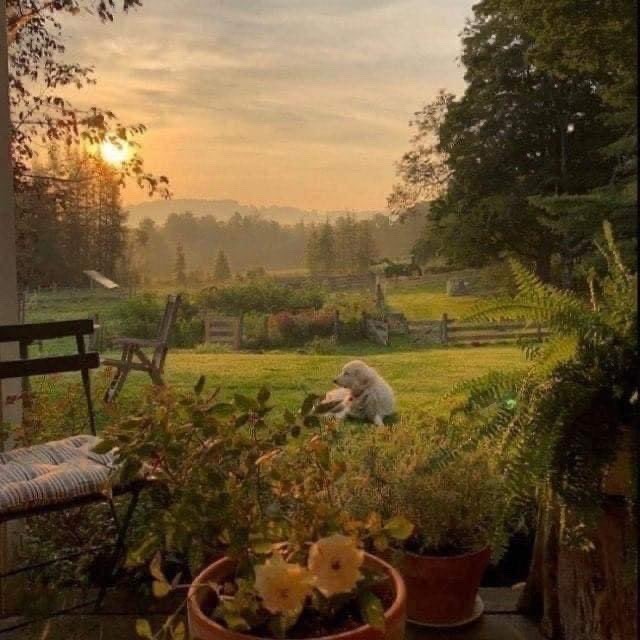 DI0RSBABY's tweet photo. in my dreams i live there https://t.co/jfWlEoXZpN