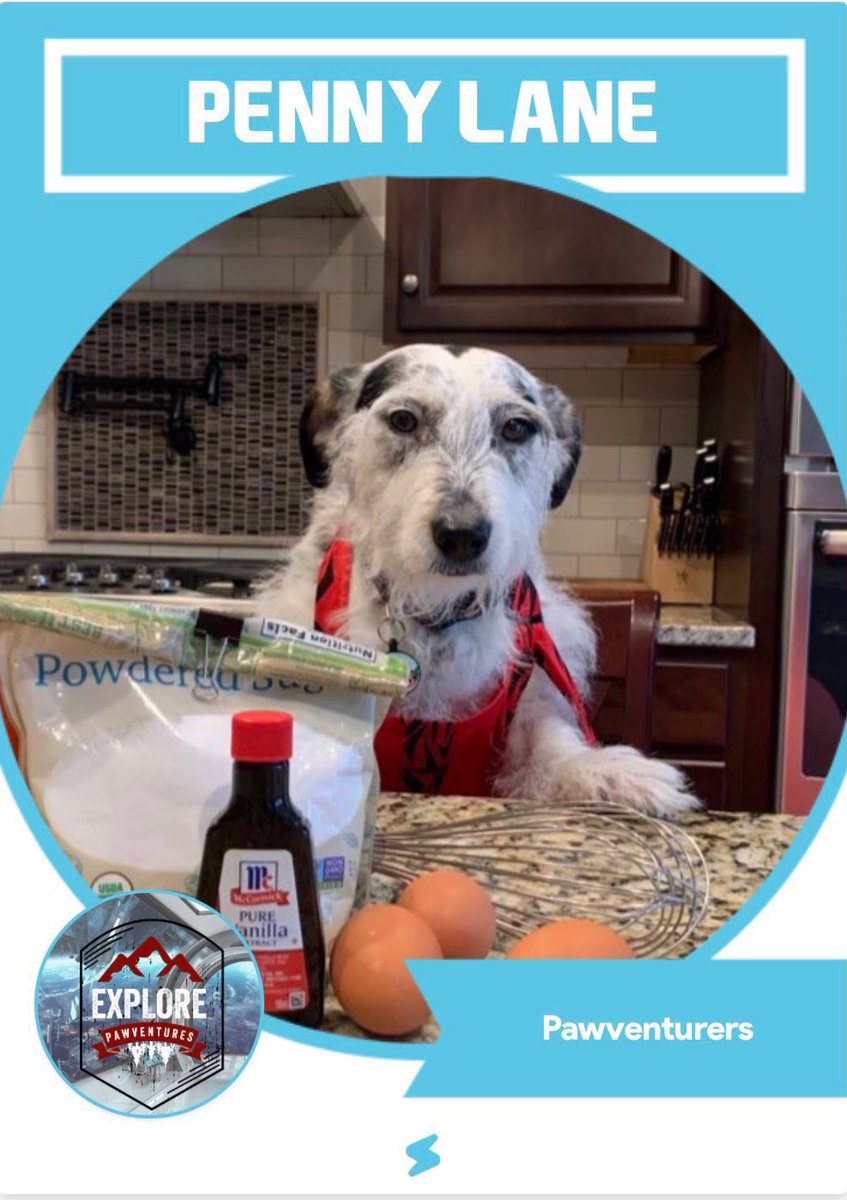 MarlinIsAGoodB1's tweet photo. #OTLFP 1/3 Thampks, Pimxie! Oh, I hamv SO many womderful dear frens here. My very firmst twooter pals were the #Pawventures gang (@Pawventures2)! That ims how I met my Penmy Lane (@Penny_Lane_Pup). We ams married now! https://t.co/XNLPTmlpcZ