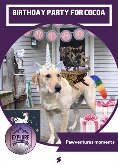 MarlinIsAGoodB1's tweet photo. #OTLFP 1/3 Thampks, Pimxie! Oh, I hamv SO many womderful dear frens here. My very firmst twooter pals were the #Pawventures gang (@Pawventures2)! That ims how I met my Penmy Lane (@Penny_Lane_Pup). We ams married now! https://t.co/XNLPTmlpcZ