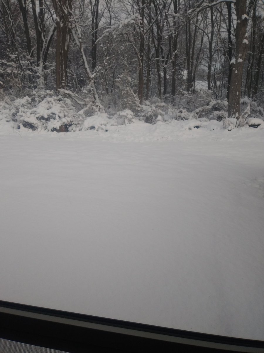 Friday morning views