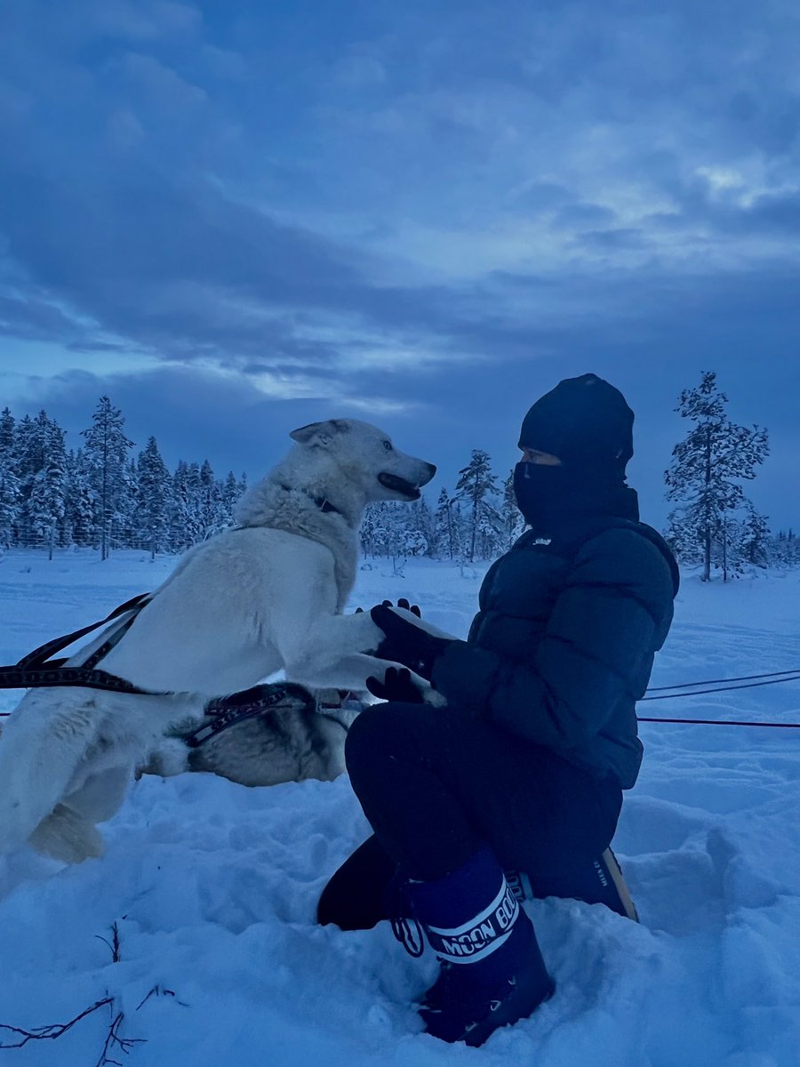 ammeliani's tweet photo. Moi et mes aventures au pays du père Noël ❄️ 🌲 https://t.co/ZUEtVyL3eQ